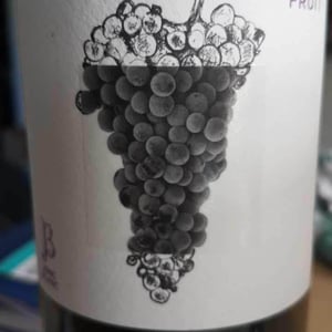 Fruit - Le Jonc Blanc - isabelle-carles-franck-pascal