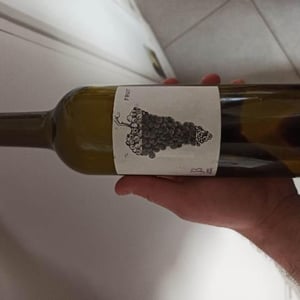 Le Jonc Blanc - Isabelle Carles & Franck Pascal - Fruit