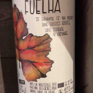 Fuèlhas - Danis Dans la Vigne - danis-bessieres -2018