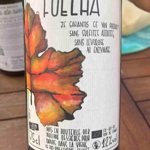 Fuèlhas - Danis Dans la Vigne - danis-bessieres -2018