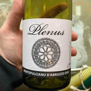 Plenus Montepulciano - Azienda Agricola Marina Palusci - Massimiliano d’Addario 