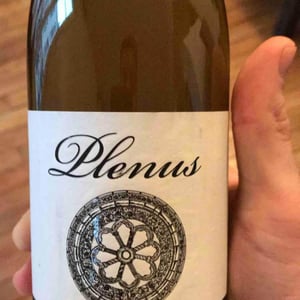 Plenus Pecorino - Azienda Agricola Marina Palusci - Massimiliano d’Addario 