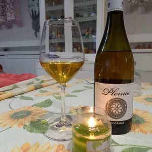 Plenus Pecorino 2016 - Azienda Agricola Marina Palusci - Massimiliano d’Addario