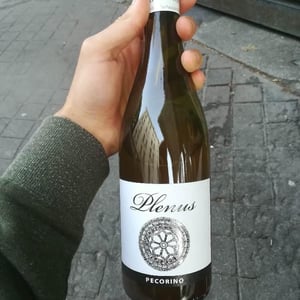 Plenus Pecorino - Azienda Agricola Marina Palusci - massimiliano-daddario