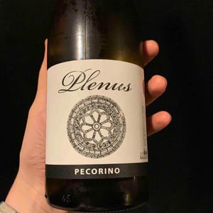 Plenus Pecorino - Azienda Agricola Marina Palusci - Massimiliano d’Addario 