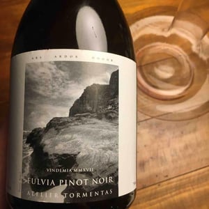 Fulvia Pinot Noir - Atelier Tormentas - Marco Danielle 