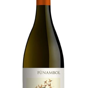 Funambol - Podere Sottoilnoce - max-brondolo
