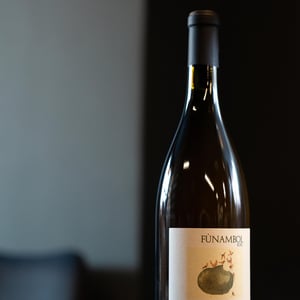 Funambol - Podere Sottoilnoce - max-brondolo