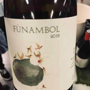 Funambol - Podere Sottoilnoce - max-brondolo