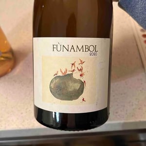 Funambol 2020 - Podere Sottoilnoce - Max Brondolo