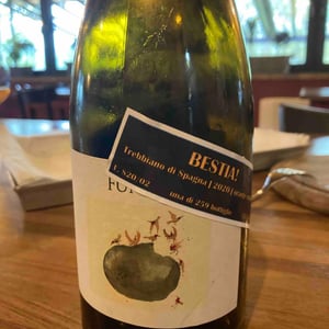 Funambol - Podere Sottoilnoce - Max Brondolo 