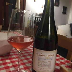 Cantina Furlani - Matteo Furlani - Furlani Naturale "Metodo Interrotto" Rosé