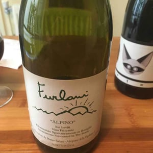 Furlani Naturale "Metodo Interrotto" Rosé - Cantina Furlani - matteo-furlani