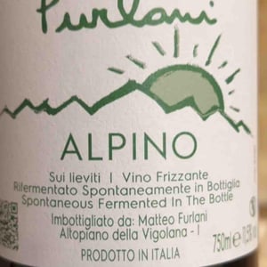 Furlani Naturale "Metodo Interrotto" Rosé - Cantina Furlani - Matteo Furlani 