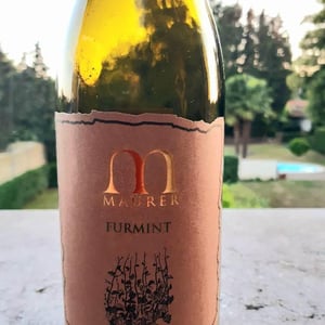 Furmint - Maurer Winery - oszkar-maurer