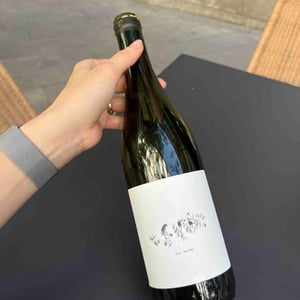 Furmint - Péter Nagyváradi - Péter Nagyváradi 