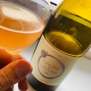 Furmint & Lipovina - Štefan Horník - stefan-hornik