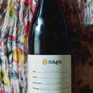 Furmint - Naga Wines - Antal Lepold and Bianka Borbély (Closed) -2022
