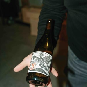 Furmint - Kolonia 52 - annamaria-torok-attila-francisti -2022