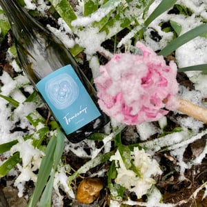 Furmint - Tomcsányi Családi Birtok - Tomcsányi Family -2019