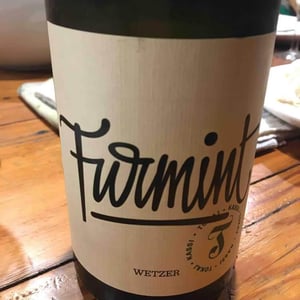 Furmint - Weinbau Michael Wenzel - Michael Wenzel 