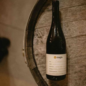 Furmint - Naga Wines - antal-lepold-and-bianka-borbely-closed -2022
