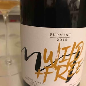 Furmint Wild + Free - Weinbau Michael Wenzel - Michael Wenzel 