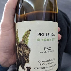 Pelluda - Quinta da Pellada | Quinta de Saes - maria-alvaro-castro
