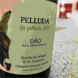 Pelluda - Quinta da Pellada | Quinta de Saes - Maria & Álvaro Castro 