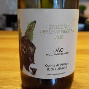 Pelluda - Quinta da Pellada | Quinta de Saes - maria-alvaro-castro