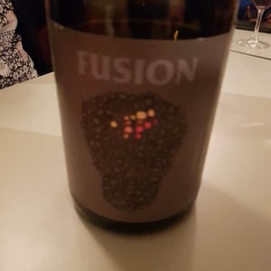 Fusion - No Control - vincent-marie