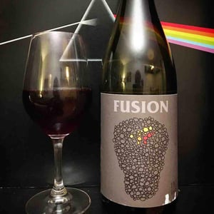 No Control - Vincent Marie - Fusion
