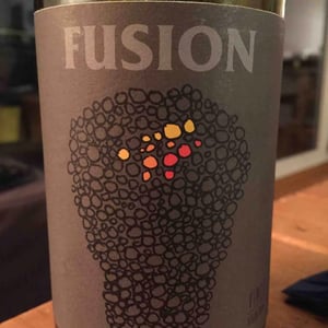 Fusion - No Control - vincent-marie