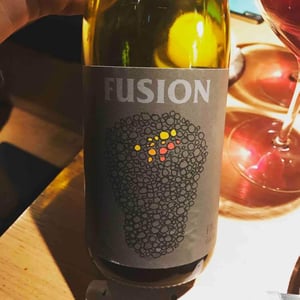 Fusion - No Control - Vincent Marie 