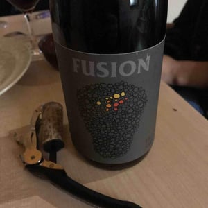 Fusion - No Control - vincent-marie