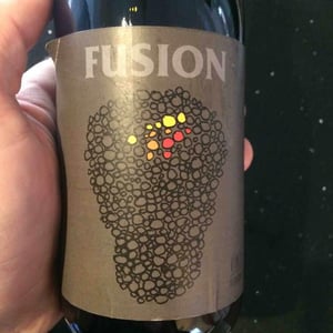 Fusion - No Control - Vincent Marie 