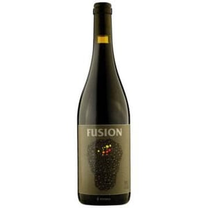 Fusion - No Control - vincent-marie