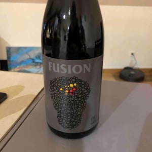 Fusion - No Control - vincent-marie