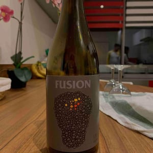 No Control - Vincent Marie - Fusion