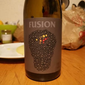 Fusion - No Control - Vincent Marie 