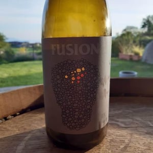 Fusion - No Control - vincent-marie