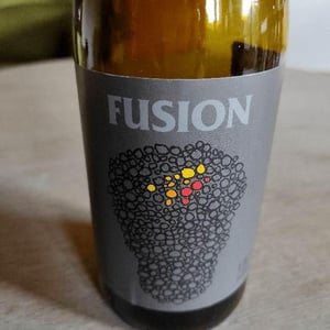 Fusion - No Control - vincent-marie