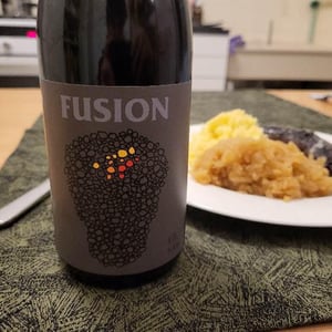 No Control - Vincent Marie - Fusion