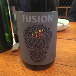 Fusion - No Control - Vincent Marie 