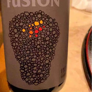 Fusion - No Control - vincent-marie