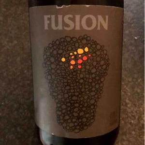Fusion - No Control - vincent-marie