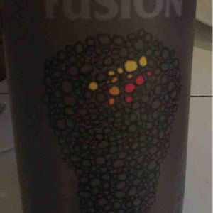 Fusion - No Control - vincent-marie