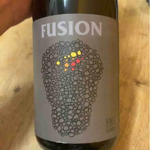 Fusion - No Control - vincent-marie