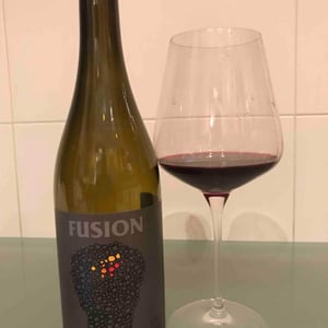 Fusion - No Control - vincent-marie