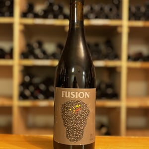 Fusion - No Control - vincent-marie